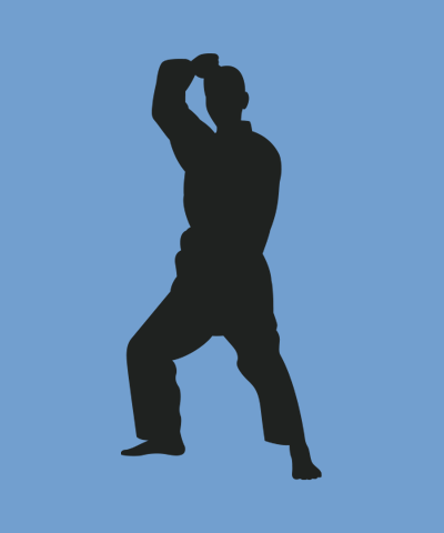 trainer-karate-m