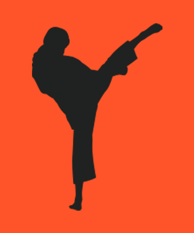 trainer-mma-m